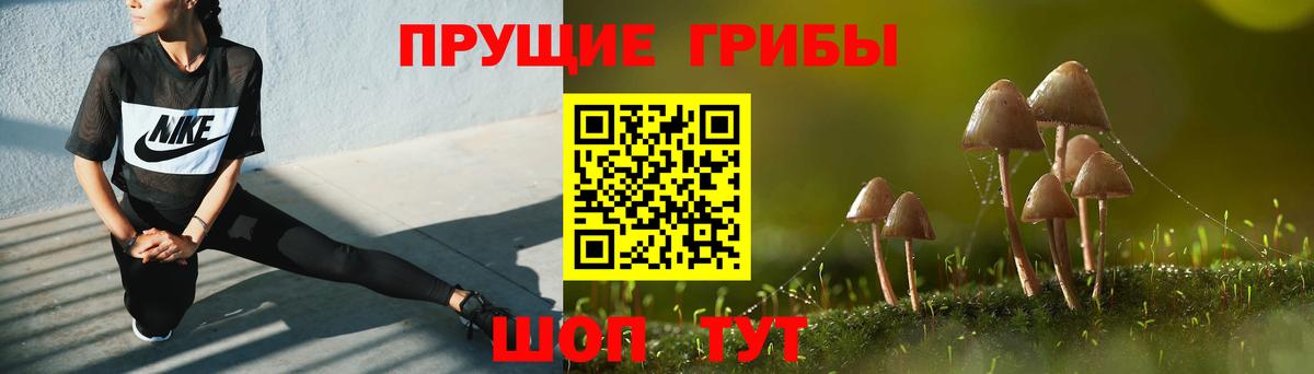Волжский  магазин    Вход с VPN  Псилоцибиновые грибы Psilocybine cubensis 
